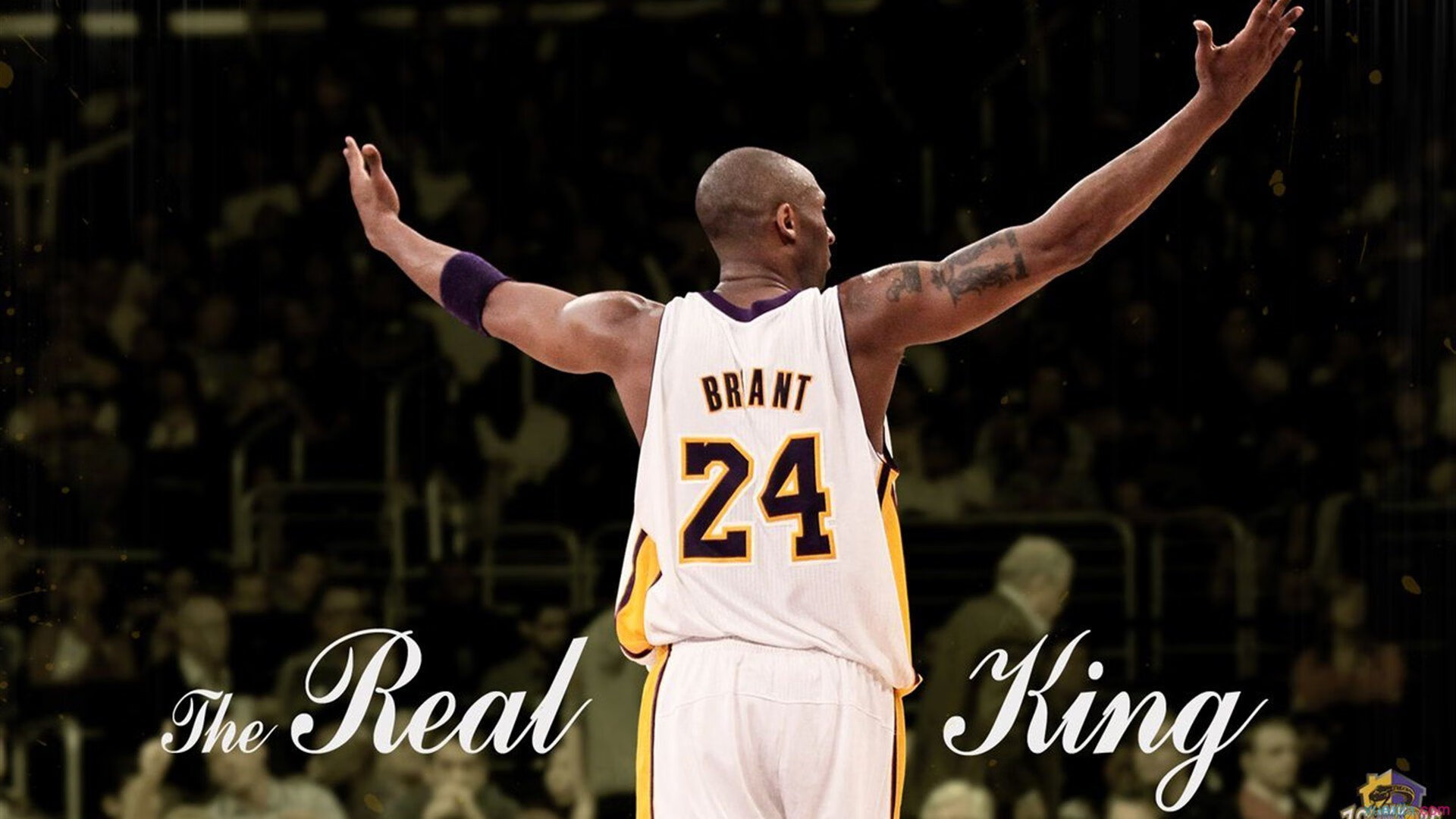 《ApexLegends》“极夜风暴”地图全新登场，战术无限升级！